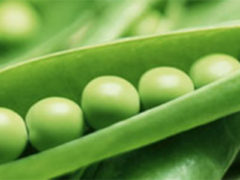 Sweet Peas
