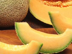 Cantaloupe