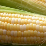 Our Famous Sweet Corn