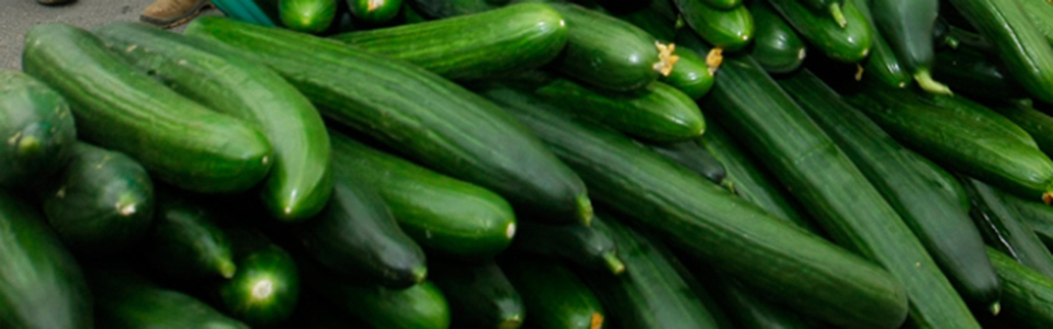 Cucumbers