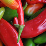 Hot Peppers : Various Varieties