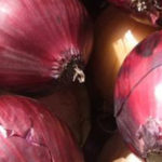 Onions : Four Varieties