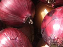 Onions : Four Varieties
