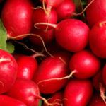 Radishes: Red and Watermelon