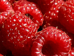 Raspberries