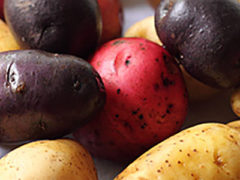 Potatoes : Six Varieties