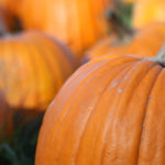 Pumpkins