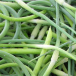 Garlic Scapes
