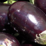 Eggplant