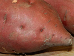 Sweet Potatoes and Yams