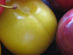 Plums